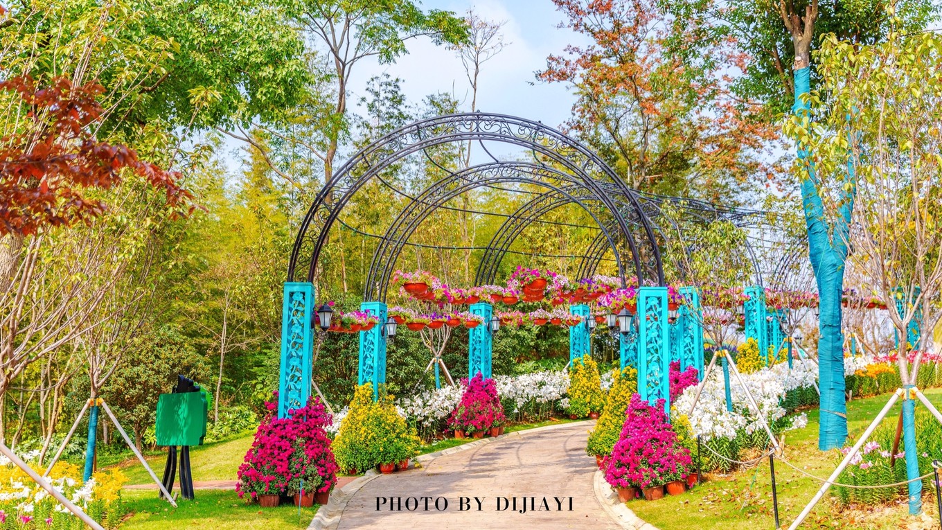 金坛花谷奇缘几月开花,金坛花谷奇缘地图