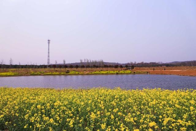 浠ユ按娑﹀煄,娑﹀煄娌抽亾娌荤悊宸ョ▼