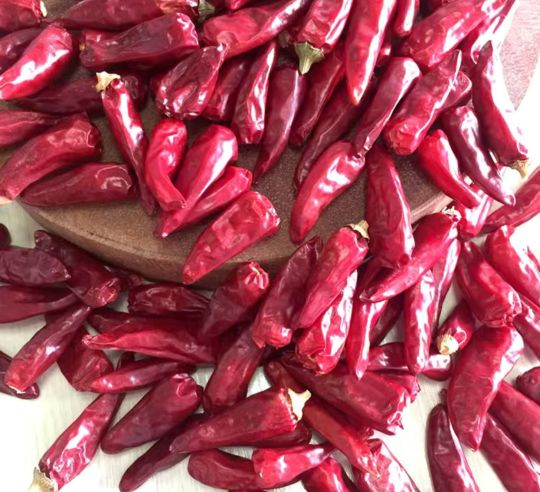 吉林洮南辣椒第一人,中国辣椒第一镇