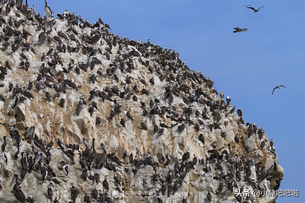 你不知道的国家冷知识苏里南,关于秘鲁的介绍