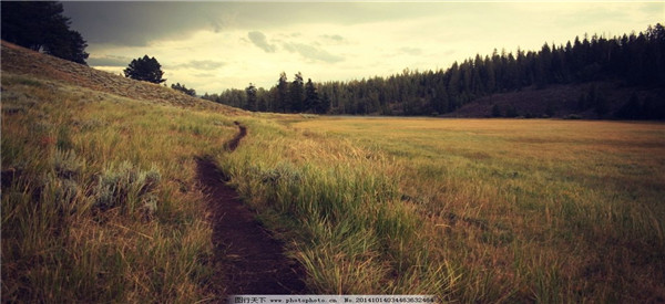 想要做期货先了解什么,期货初学者如何做期货