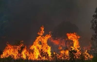弗兰克劳埃德赖特怎么死了,弗兰克劳埃德赖特的事