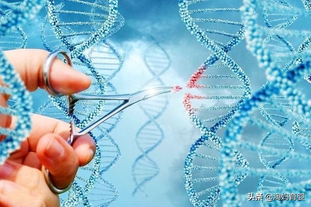 为何有的胚胎着床早有的着床晚,胚胎反复着床失败是怎么回事