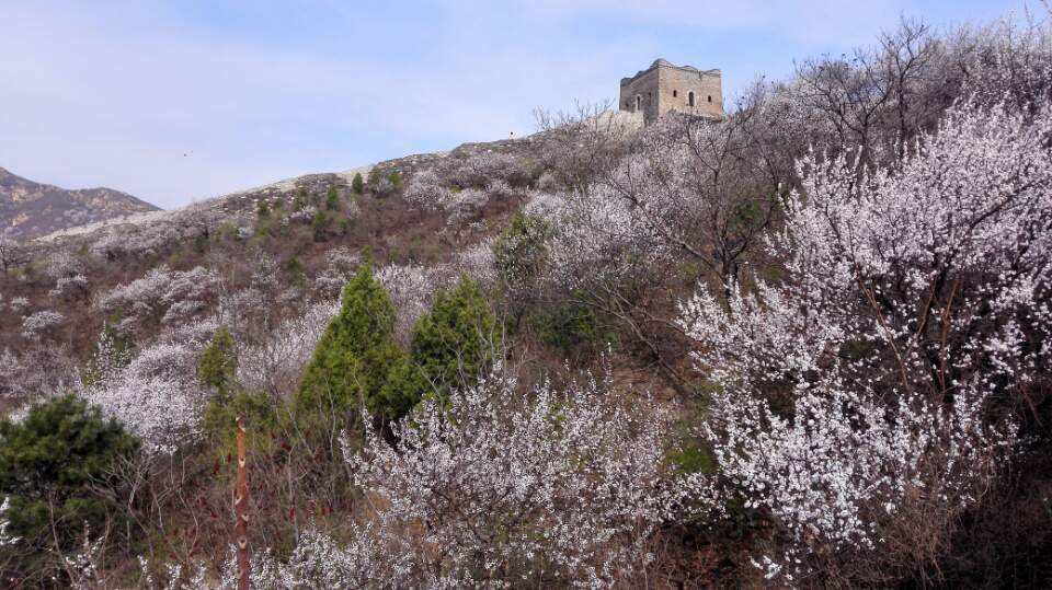 鑻忓繝璇楁瓕,鑻忓繝璇楁瓕浣滃搧