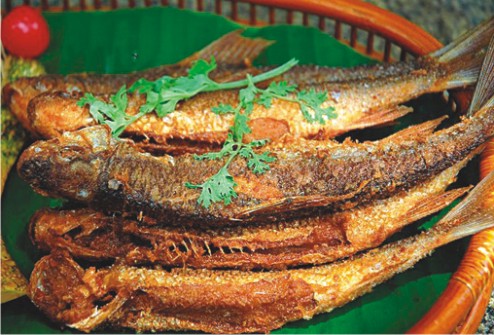 海南保亭旅游攻略必去景点,保亭县旅游攻略自由行