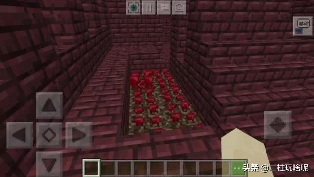 盘点一些我的世界植物排行榜,我的世界上有什么奇特的植物