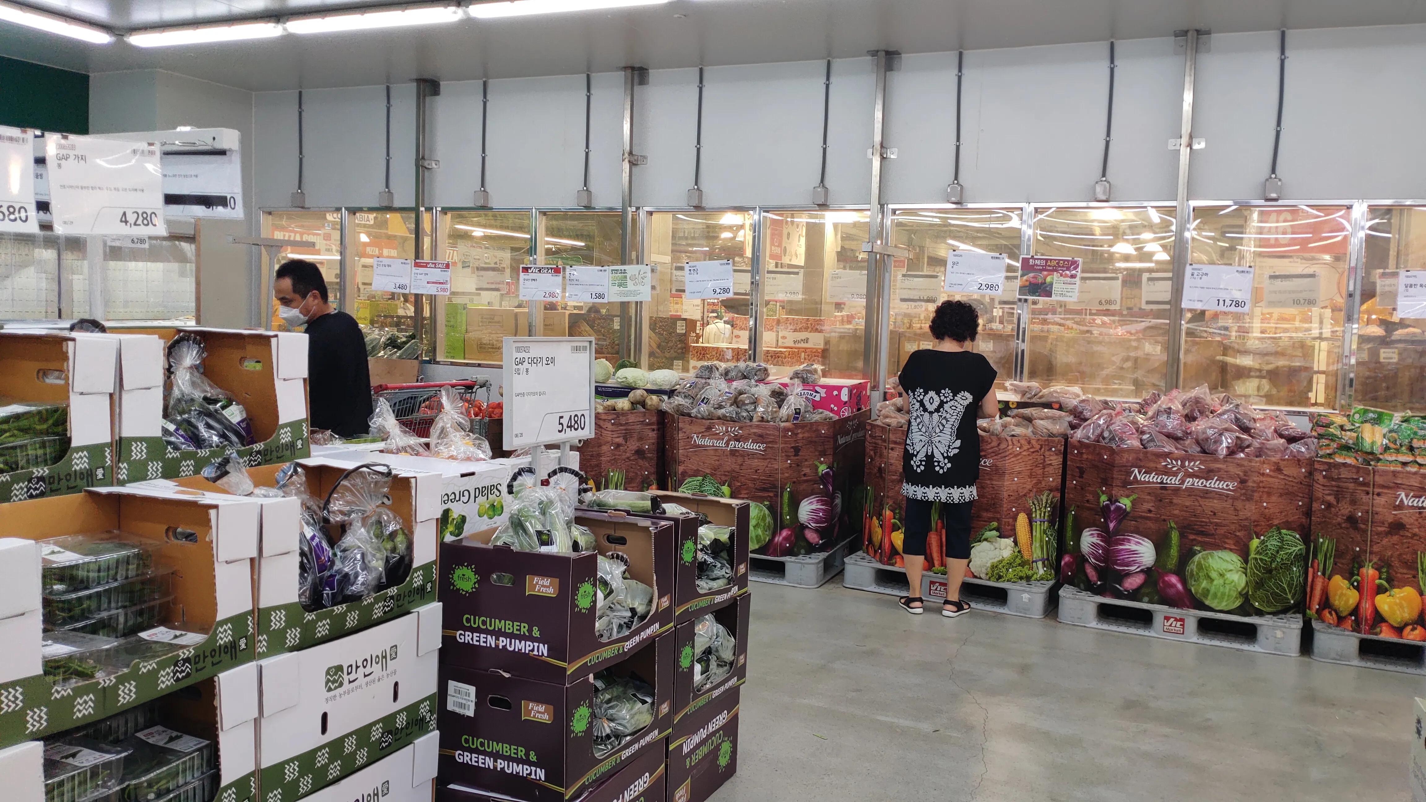 首尔layered咖啡,首尔很多萨摩耶的地方