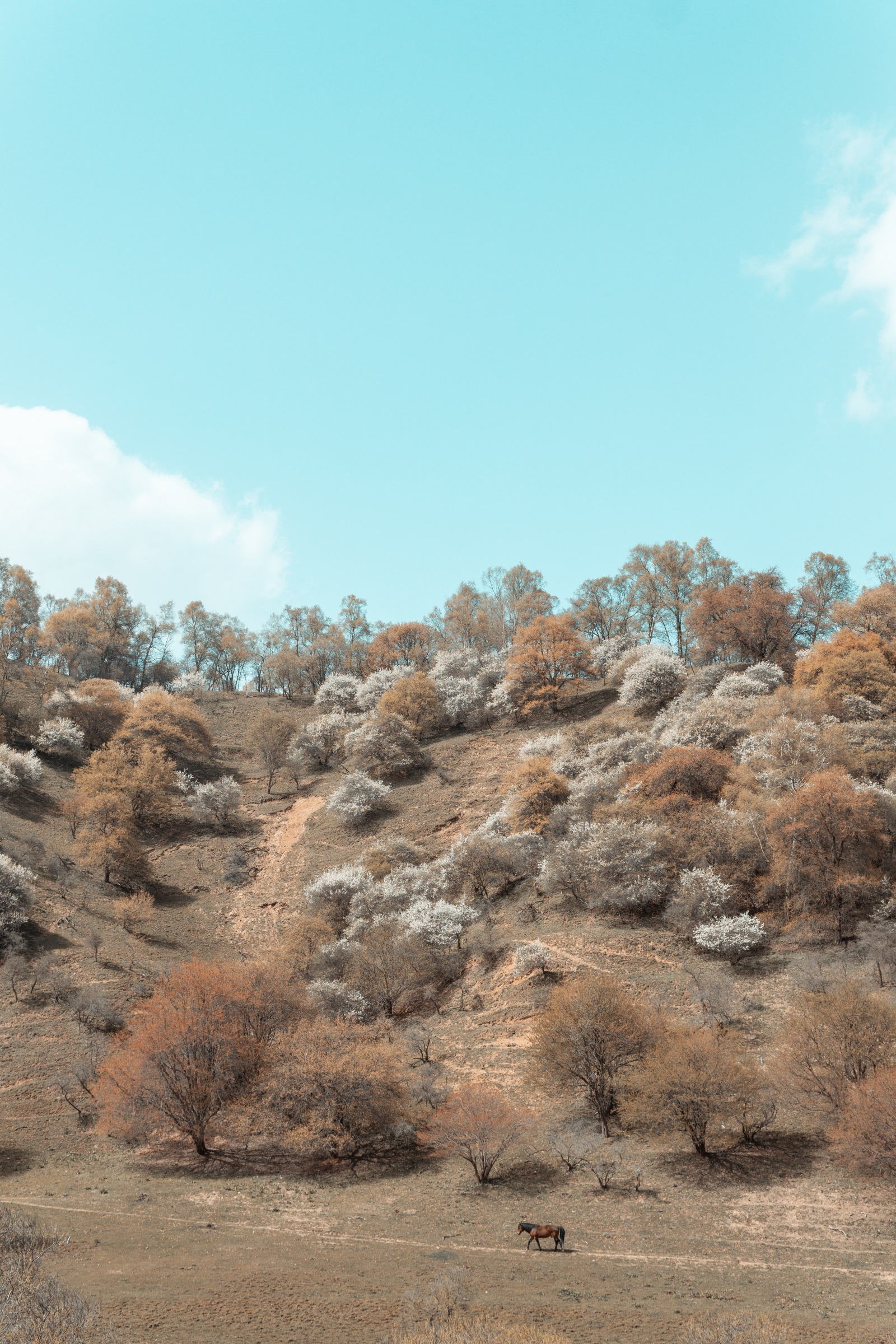 索尼微单a6000优缺点,索尼微单6000用什么sd卡