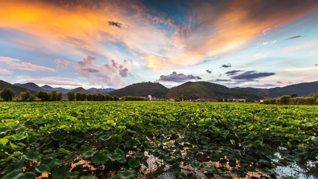 这是一个充满生机的公园怎么说,这是一个充满生机的国度朗诵