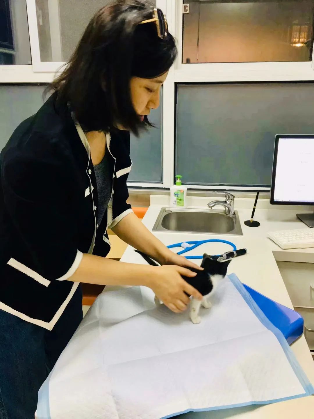 毛孩子散步回家,毛孩子去新家从此不再流浪