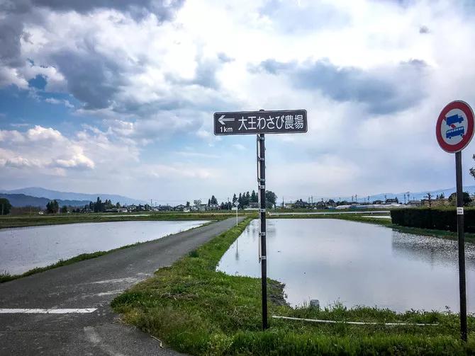 225亩公园能容纳多少人,225亩荒地