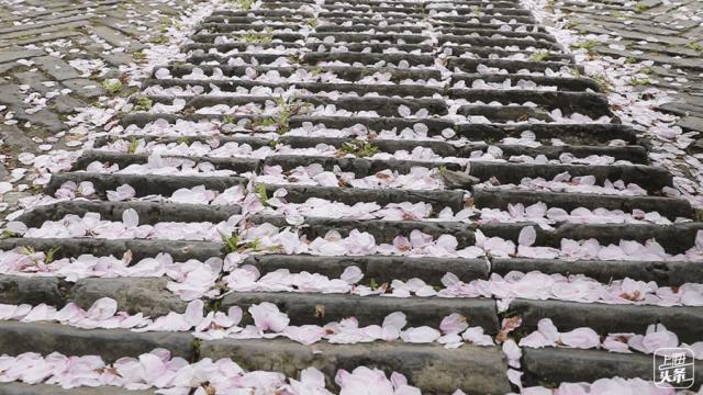 上海国庆小众旅行攻略路线图,上海出发国庆旅游攻略推荐