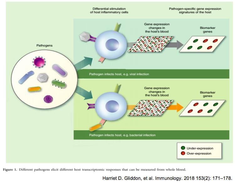 不明原因发热的常见原因及特点,长期不明原因的发热诊治经验