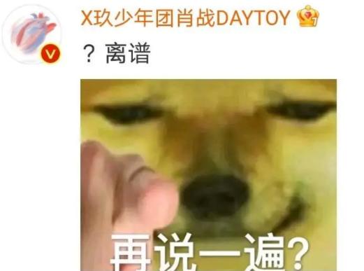 肖战给孙燕姿反黑,孙燕姿粉丝评价肖战