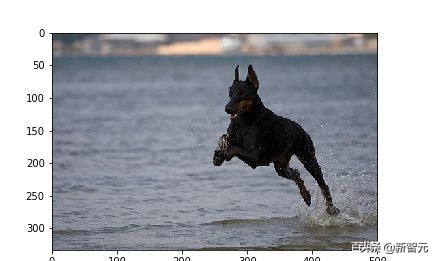 bp神经网络简单实现,如何搭建一个自己的视觉神经网络