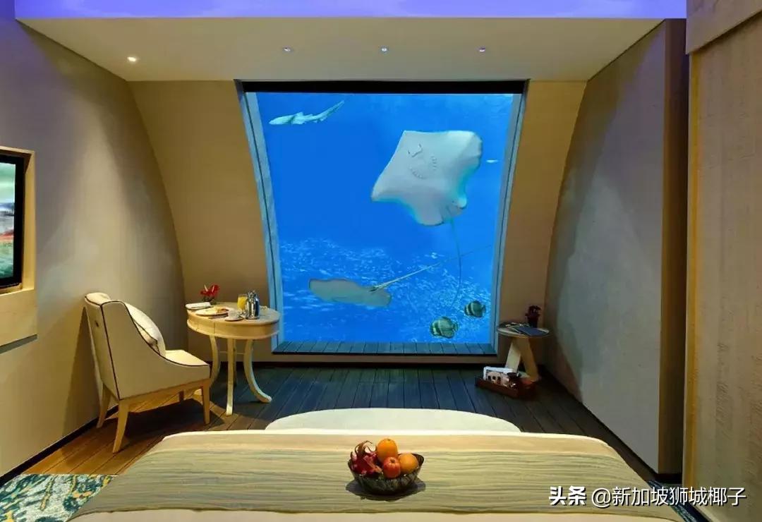 新加坡在国人眼里,外国人惊叹新加坡