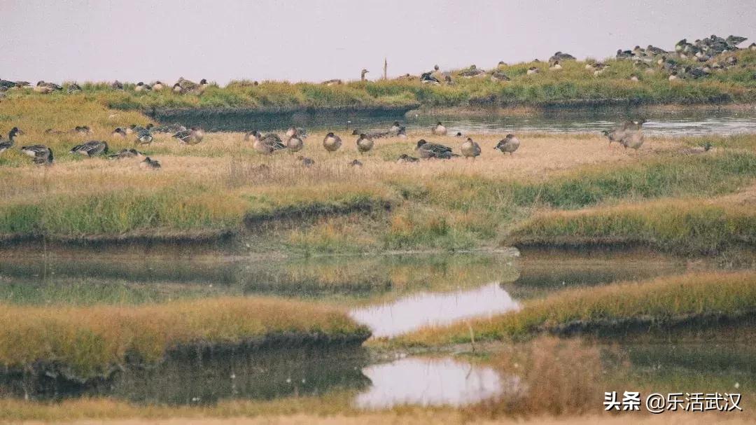 原来武汉有这么多好玩的打卡地,武汉周边新晋7大网红打卡地