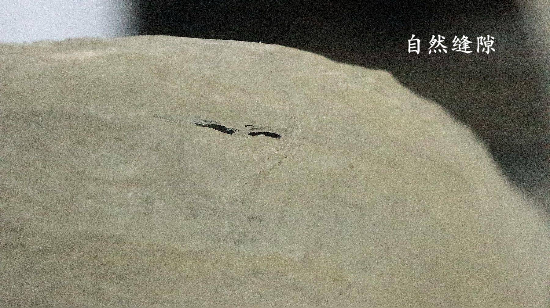 燕窝冻龄,燕窝到底有没有价值