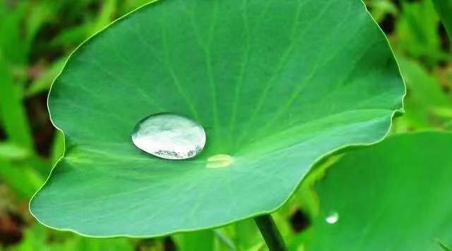 掌握期货交易的最佳时机,期货交易时机选择