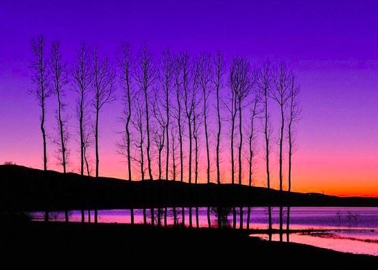 苏轼被贬黄州写的千古名句,苏轼被贬黄州写的第一首诗词