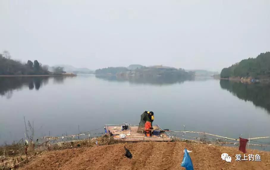 仁寿县黑龙滩年出鱼量,黑龙滩水库老窝子