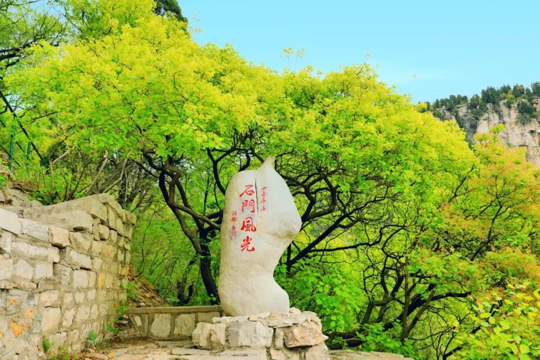 五一假期潍坊赏花踏青地推荐！这8个小众的绝美之地，一定要去走一走啊...