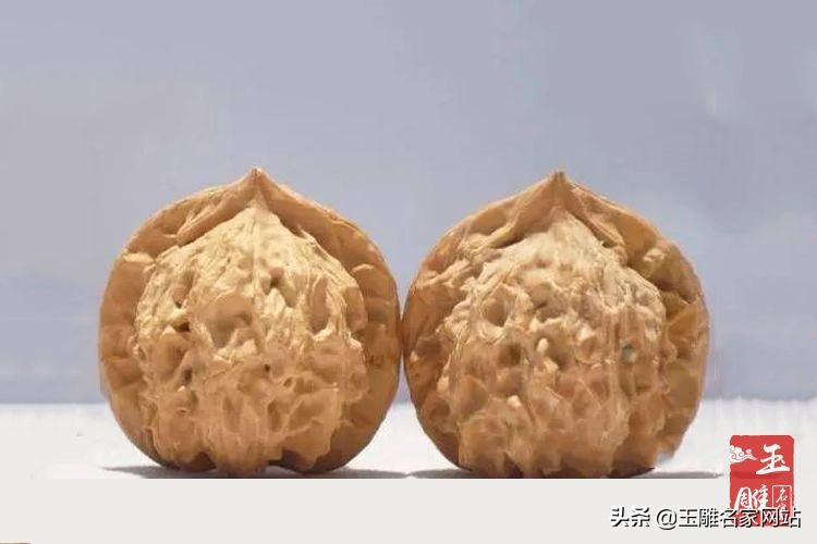 公子帽核桃有哪些品种,核桃公子帽和官帽的价值