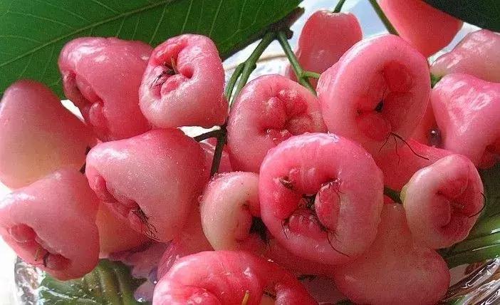 西双版纳这些奇特的水果，作为吃货的你都吃过哪些