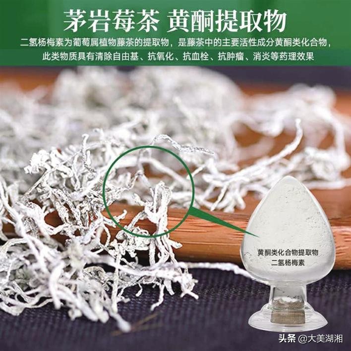 永顺县莓茶产业发展调查与思考,关于张家界莓茶产业发展