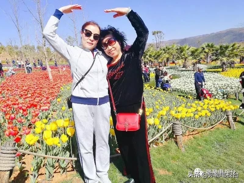 太热闹!弥勒花海、人海、车海、舞海...这些人上镜了!