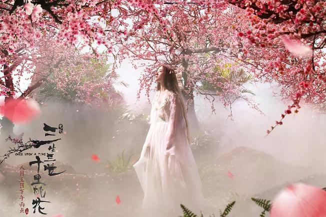 评三生三世电影,三生三世电影的评论