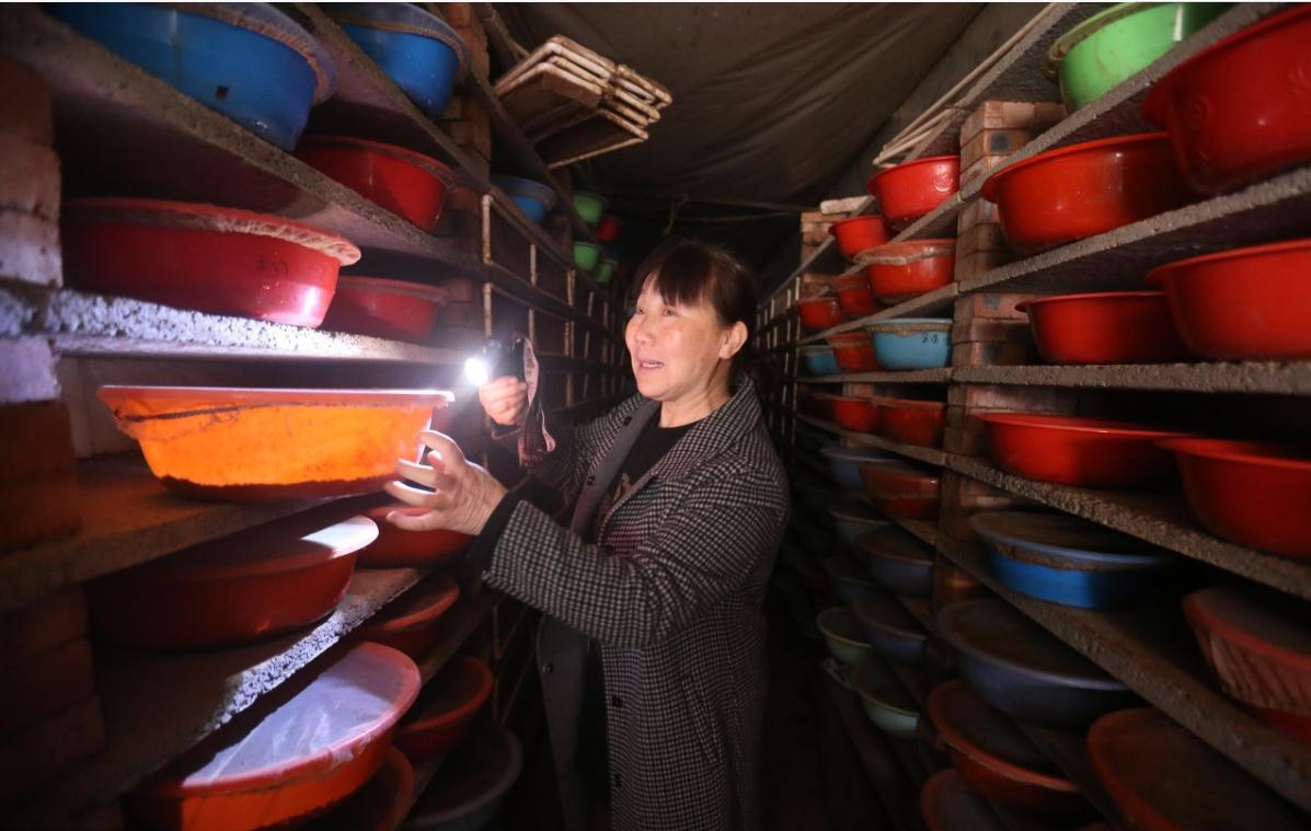 90后夫妻养蛋鸡,90后夫妻居住10平米小屋