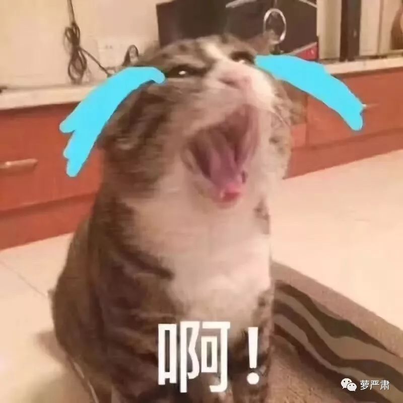 一开始我以为爱上了实力派，没想到他们还全是梗王