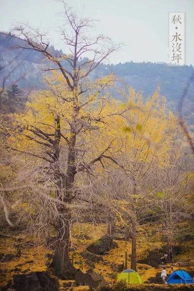 湖北钟祥：中国唯一人口守恒村？生一人死一人，百年未变！