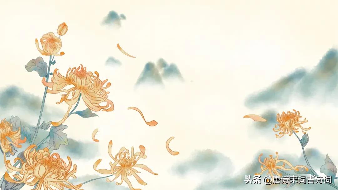 红叶黄花是谁的诗,红叶黄花是什么花图片