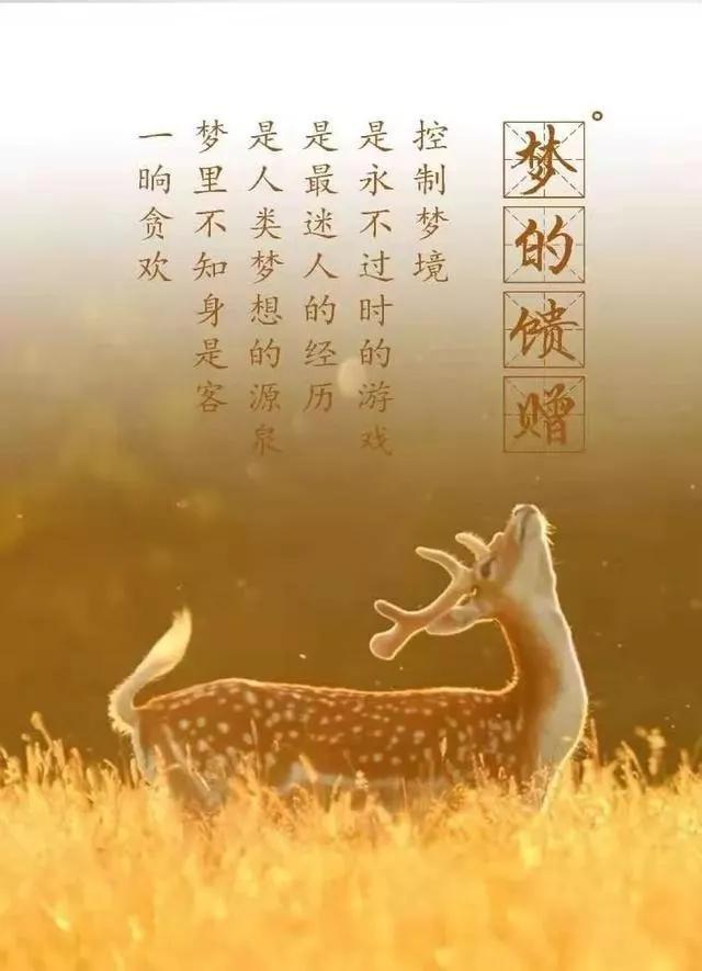 斯坦福博士告诉你:清醒梦*行为性**真的存在吗?