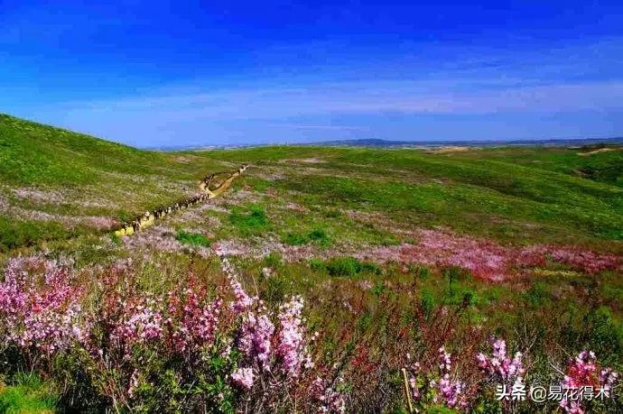 疆果新疆特产薄皮核桃,新疆的扁桃优良品种有