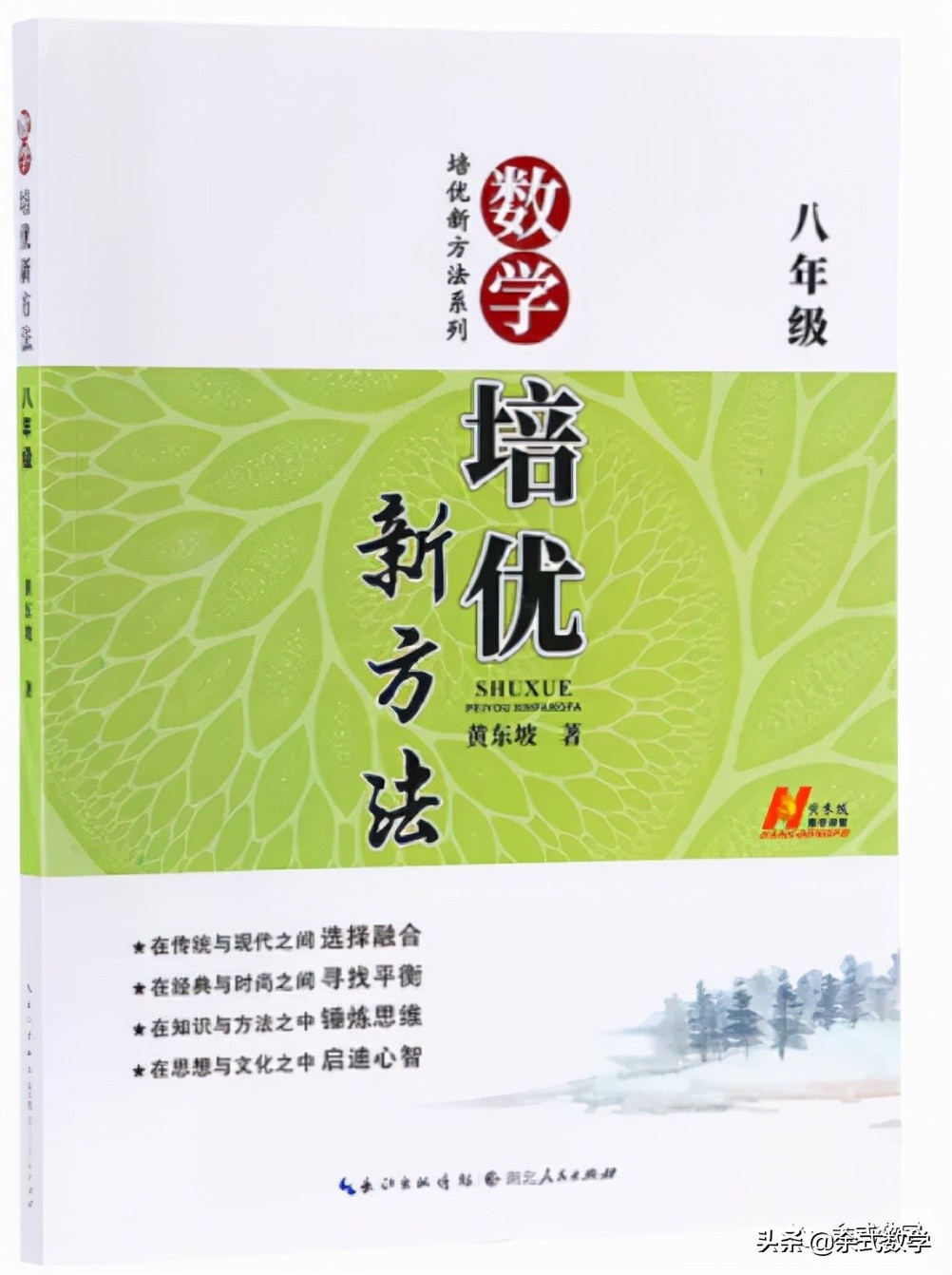 初中数学思维书籍推荐,初中数学竞赛书籍推荐小蓝本