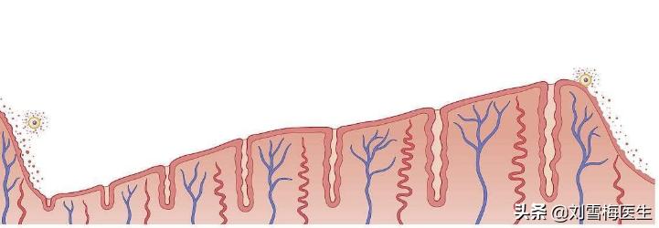 什么是子宫有什么用,子宫内膜与怀孕有什么关系