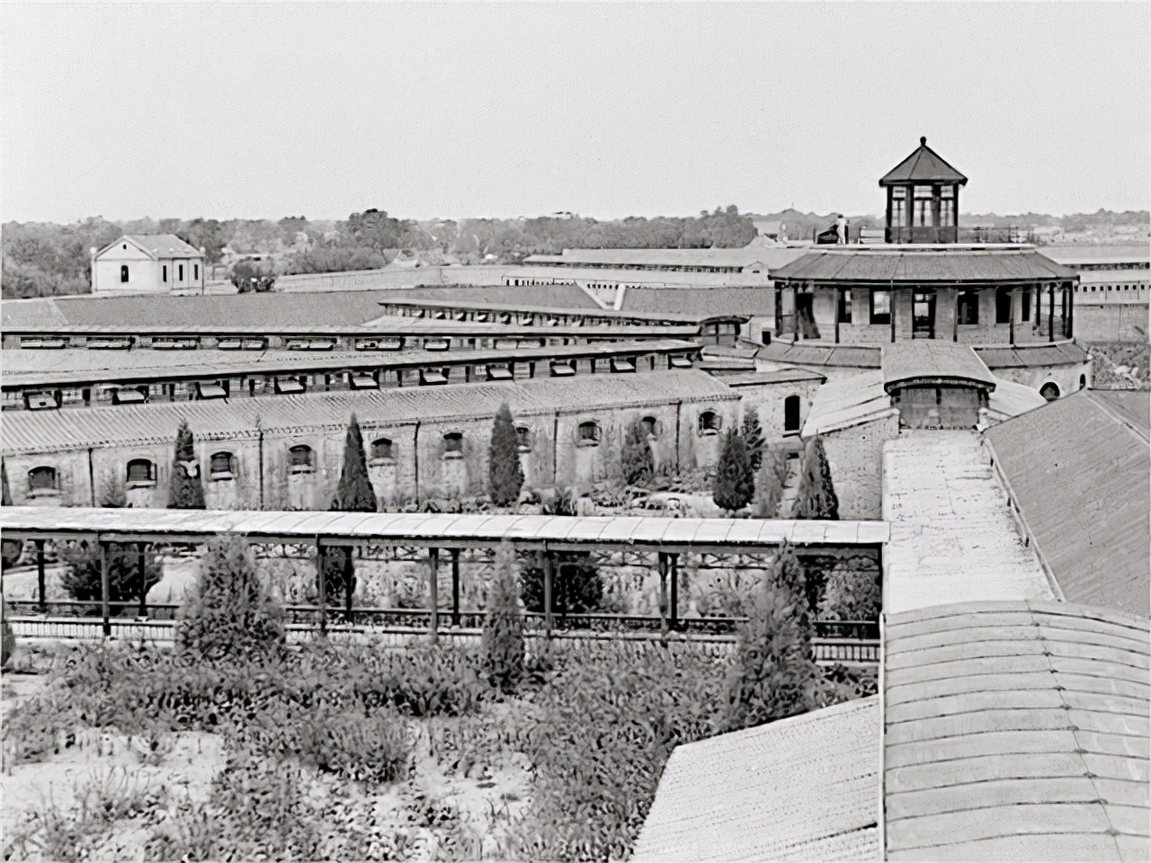 特赦1959功德林战犯人物原型结局,特赦1959功德林的战犯有虚构的吗