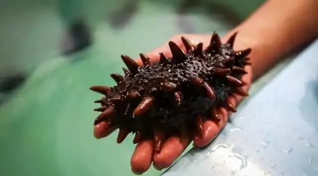 一直被我们忽略的那个离我们很近的欧洲