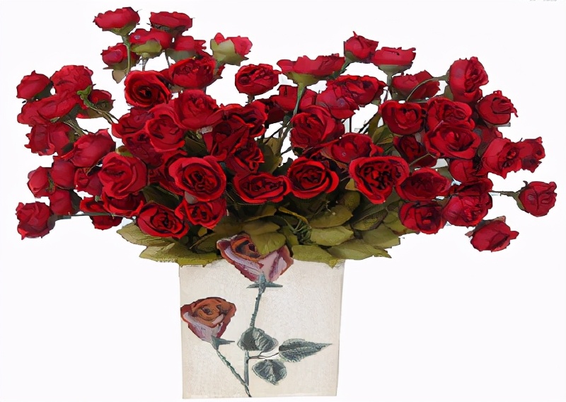 世界各国的国花和国树是什么,世界各国国花大开眼界美到爆