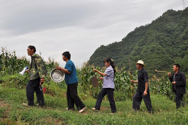 农村野猪有什么办法让它消失,山上野猪泛滥的方法