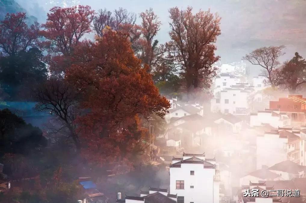 婺源篁岭油菜花摄影,婺源的秋天简直把摄影师逼疯