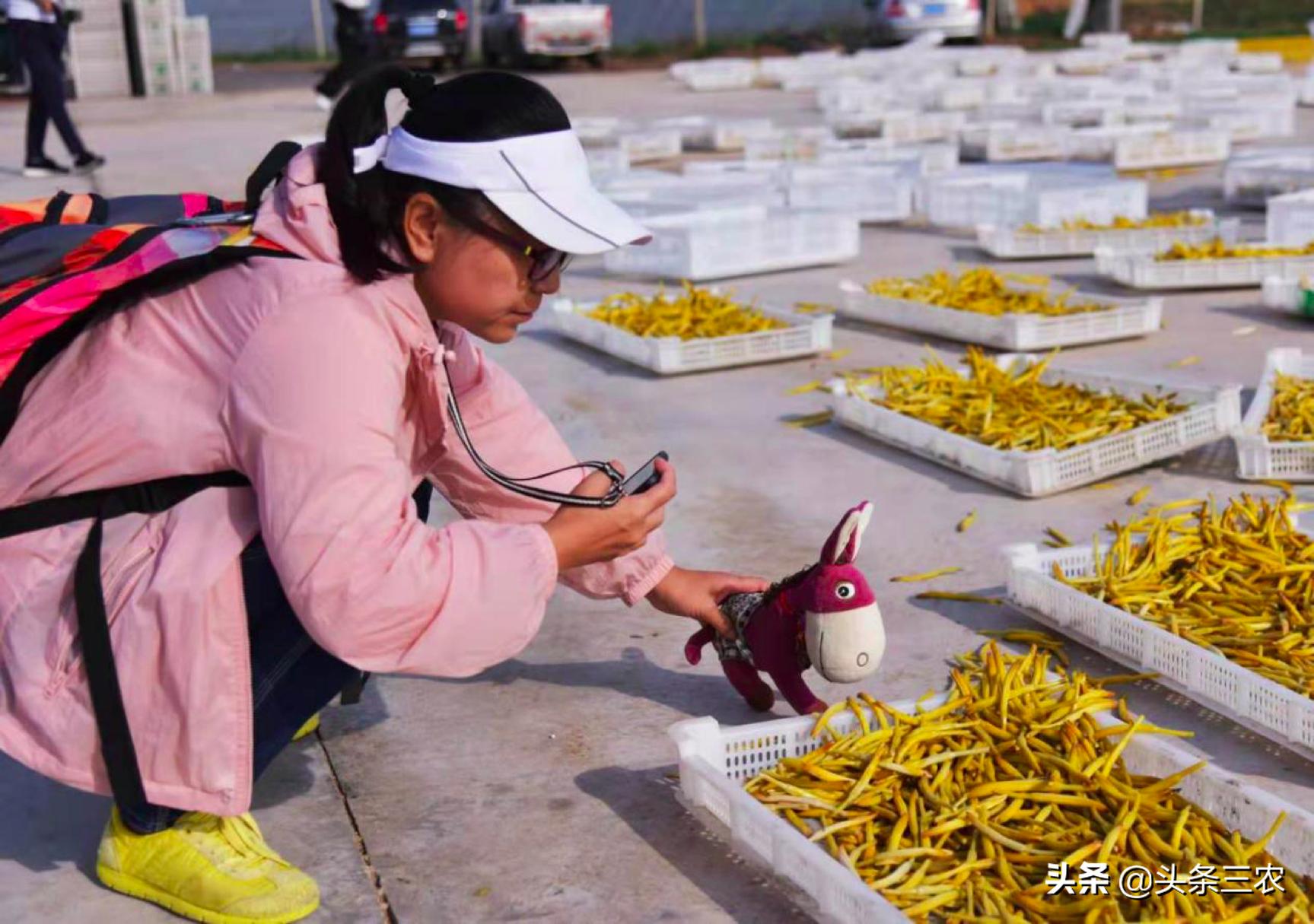 风物中华大好河山,滩羊之乡风物盐池