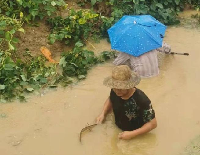 河南暴雨形成原因讲解,河南暴雨是因为热带雨林形成吗