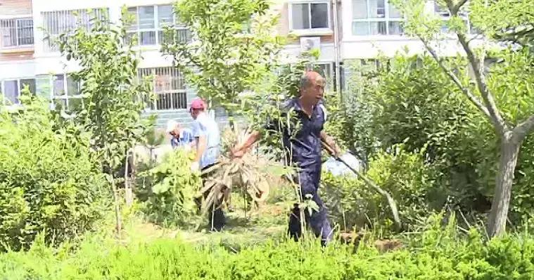 威海脏乱差,威海环境卫生整治