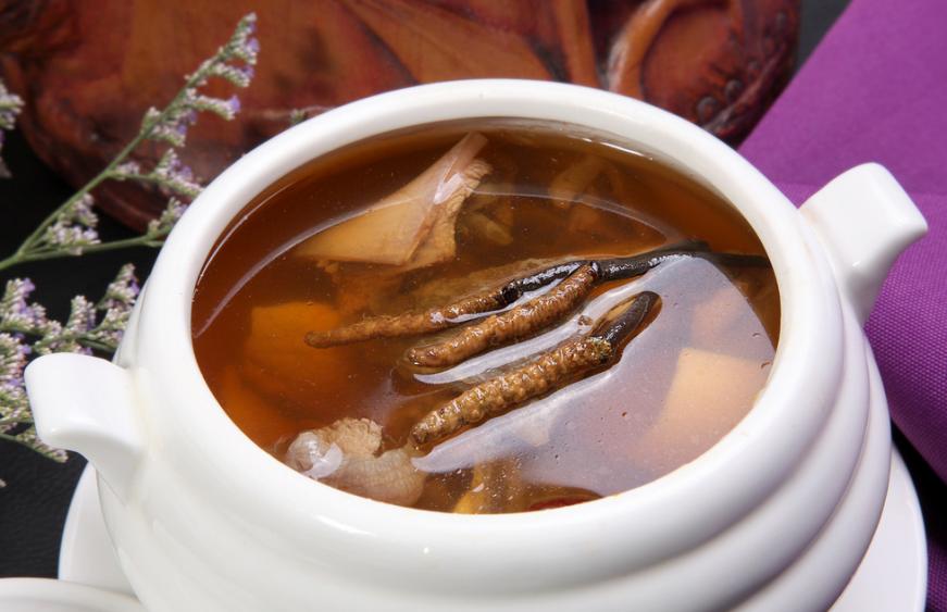 对于野生动物你有哪些了解,冬虫夏草对于女人的好处和坏处