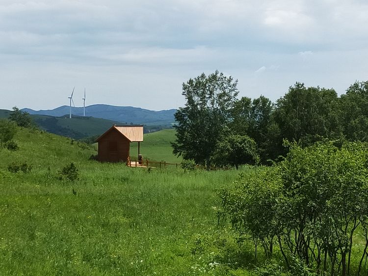 美丽的高岭塞罕坝,美丽的高岭朗诵