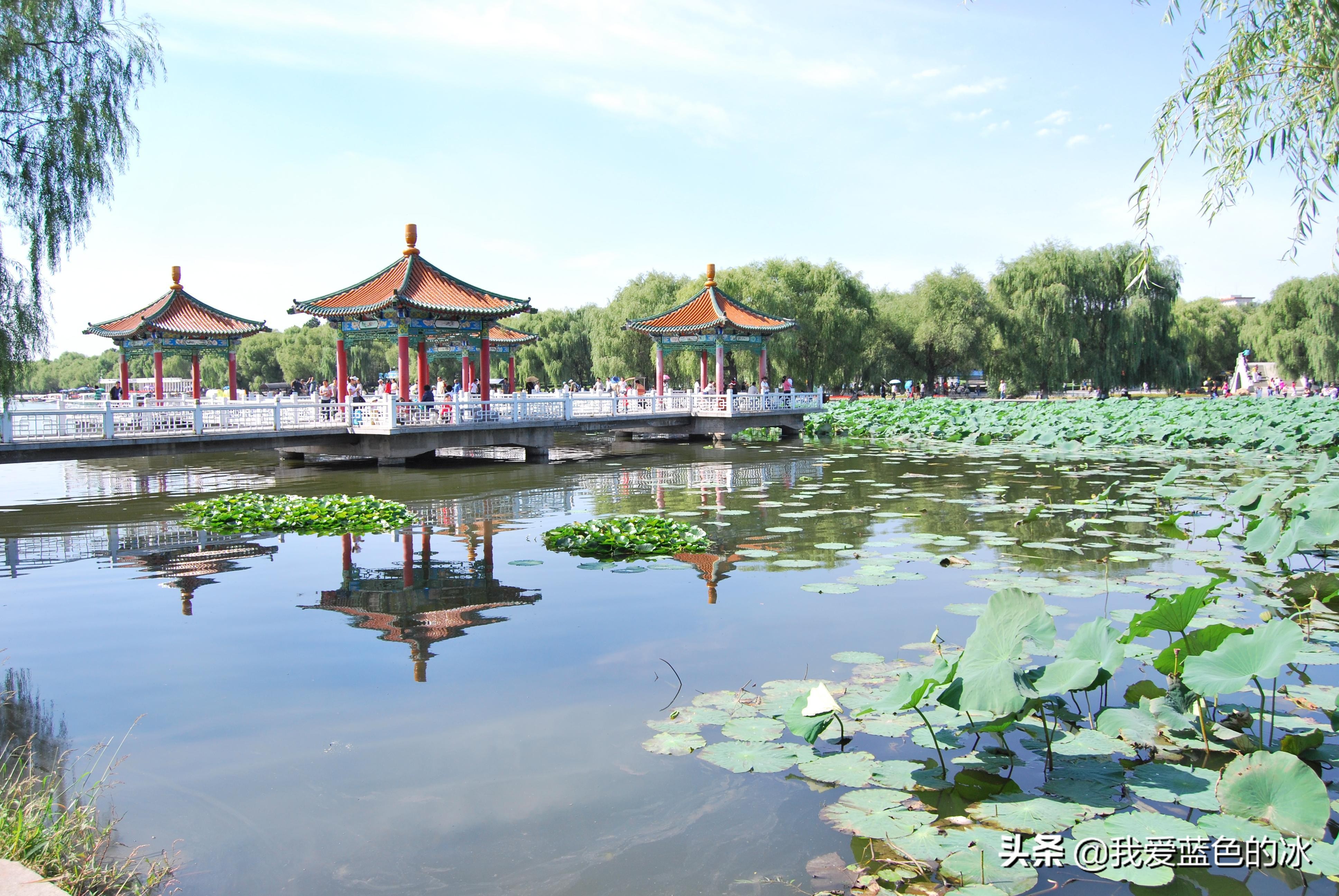 长春满眼都是绿色的地方,长春的绿化很好吗